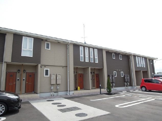 d244画像