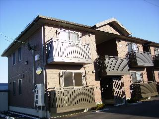 dr63画像
