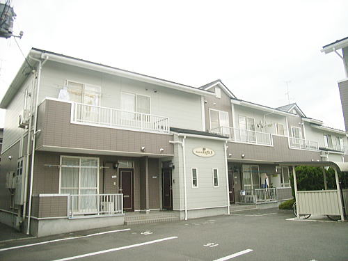 d4画像