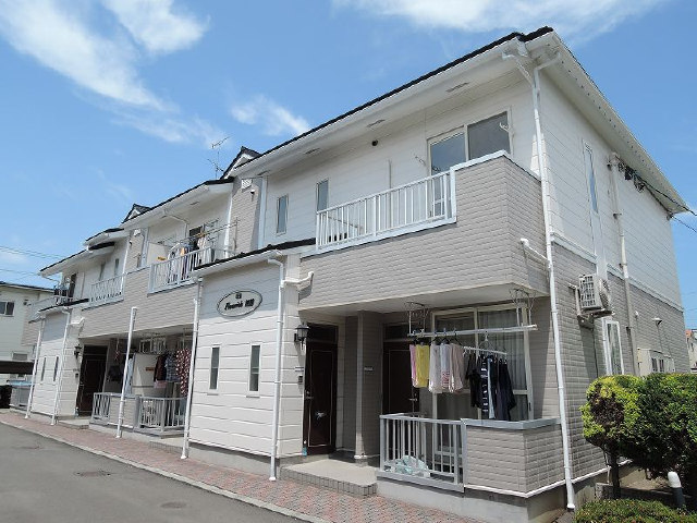 d11画像