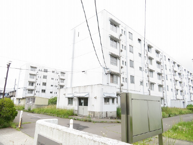 m46-p1画像