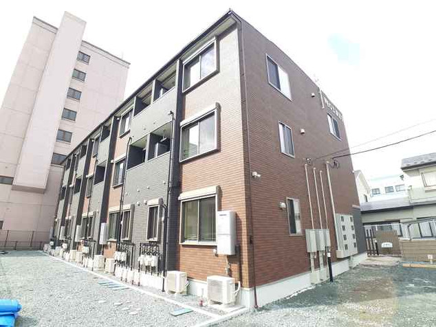 d555画像