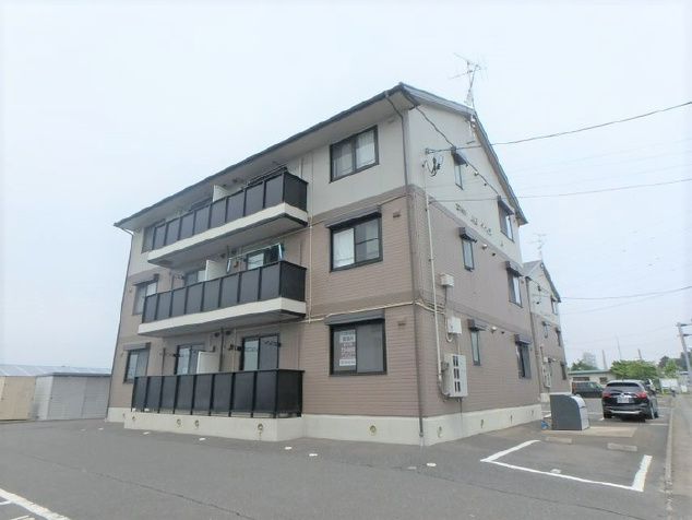dr307画像
